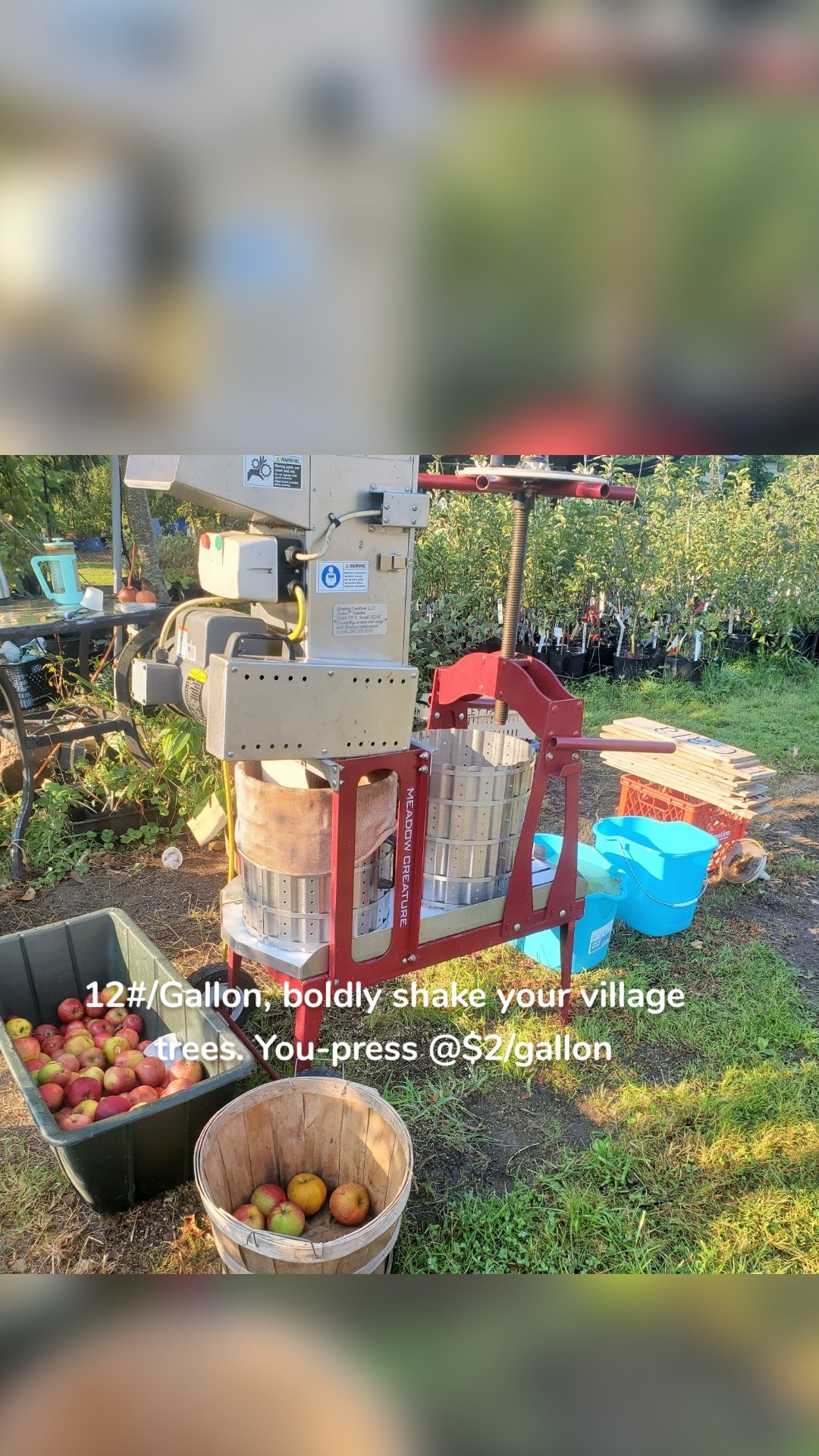 12#/Gallon, boldly shake your village trees. You-press @$2/gallon